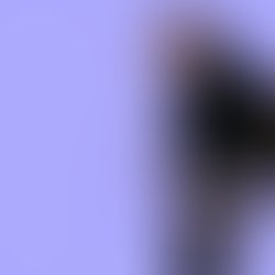 Artist 5476368 1522780654