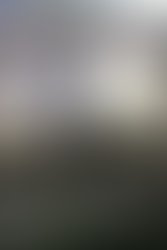 Assalamu alaikum alaikum salam