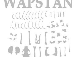 Image for Wapstan