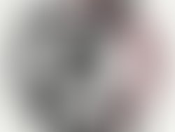 D99582b3 217e 473b 99c9 5e2b95a58ec8