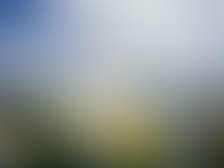 Image e6de1f6fc26502fe15d97ace5d731e38