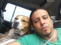 the wonder Dawg
