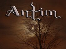Antim