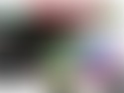 525688 424180127657457 1592701350 n