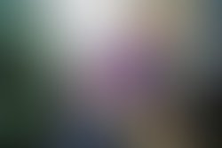 Fb img 1535255639016