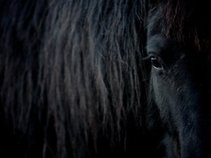 WarHorse