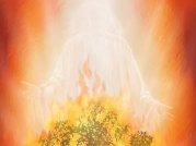 Zen Yehoshua