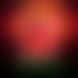 Tende kasha   mr liar   art cover  1