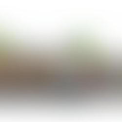 Received 788553891350999