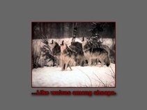 ...like wolves among sheeps - GOLDEN DAWN RECORDS