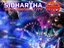 Sidhartha