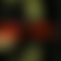 Wga cover inner profile