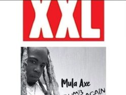 Mula Axe