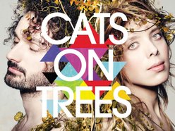 Image for Cats on Trees