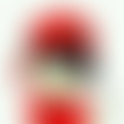 Fb img 15344026310928073