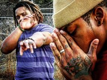 Alliance of Lionz (AOL)