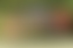 1349066823 kapala pic4