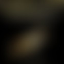 Artist 5540836 1511327442