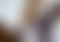 14600571 10157768306615495 840044756 o 1 