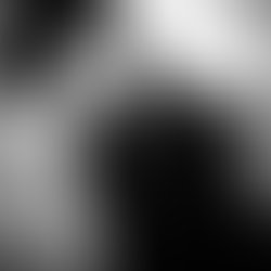 Artist 5543401 1503541061