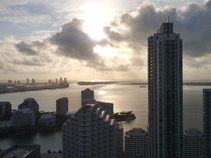 Mr.Miami