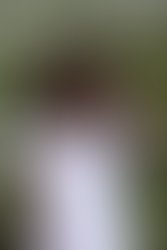 2021 polyfonikpriscila2