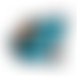 Floodshark mainlogo whitebackground 1 