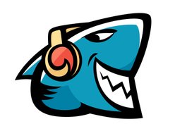 the FloodShark