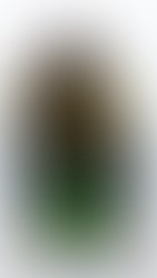 Img 9845