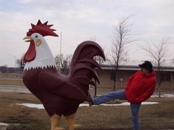 Image for Kickin Chickins