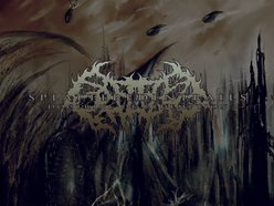 Image for Splattered Entrails