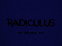 Radiculus