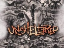 Unsheltered