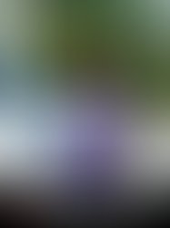 Pizap com14844877072461