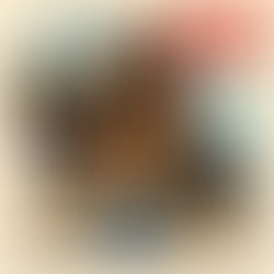 File 0000000097e0622fb694f2791d5d332c