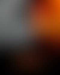 Extended days tour profile photo 8x10