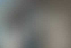 500 f7ccc80d06dd784928ea7f48b8d91232