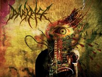 DarkRise
