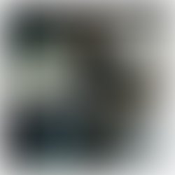 15055819 10209723392975181 75762472962888225 n