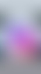 18bbd2c0 eaab 4554 b066 99fb2c60ed07