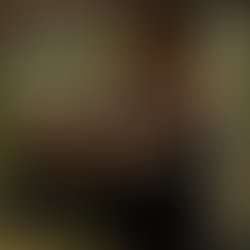 Artist 5568527 1485715482