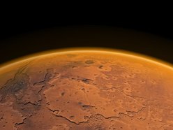 The New Saturn Collective