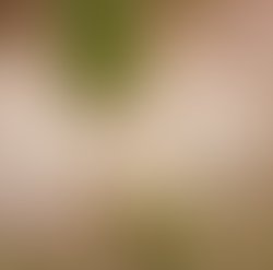 Picsart 11 20 08 41 45