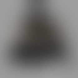 Img 20161208 wa0006
