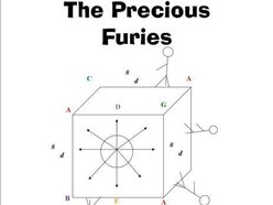 Image for The Precious Furies