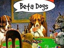 Brian Jablo (Betadogs)