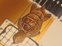 Image for Tortuga!