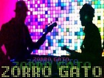 Zorro Gato