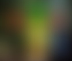 Copy of sketch artist 1 