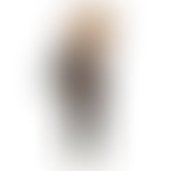 Img 0290